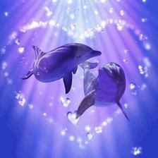 Delfines entre luces fantasia
