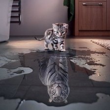 Оригинал схемы вышивки «Каждый кот - тигр в душе.» (№1102092)