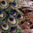 Предпросмотр схемы вышивки «павлины» (№1102571)