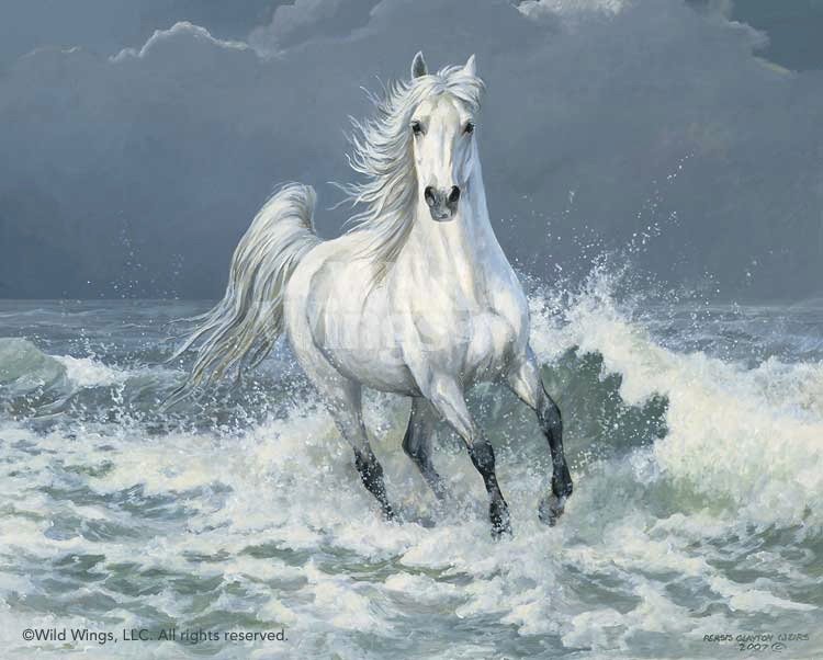 Лошадь в  море. - лошадь, белая лошадь, море, лошади - оригинал