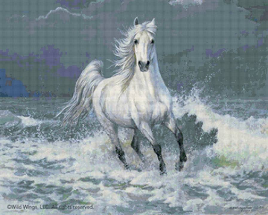 Лошадь в  море. - лошади, лошадь, море, белая лошадь - предпросмотр