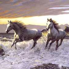 Лошади в море