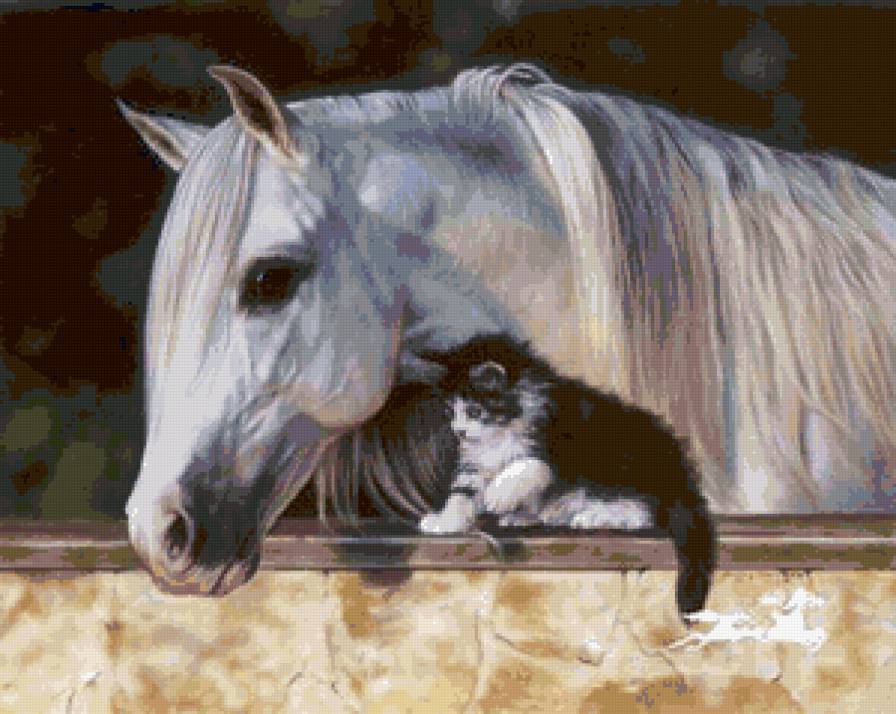 Лошадь и кошка. - лошадь, белая лошадь, кошка - предпросмотр