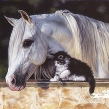 Лошадь и кошка.