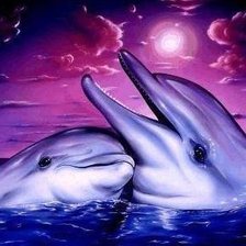 Delfines amigos