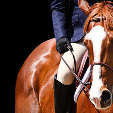 Схема вышивки «конный спорт»