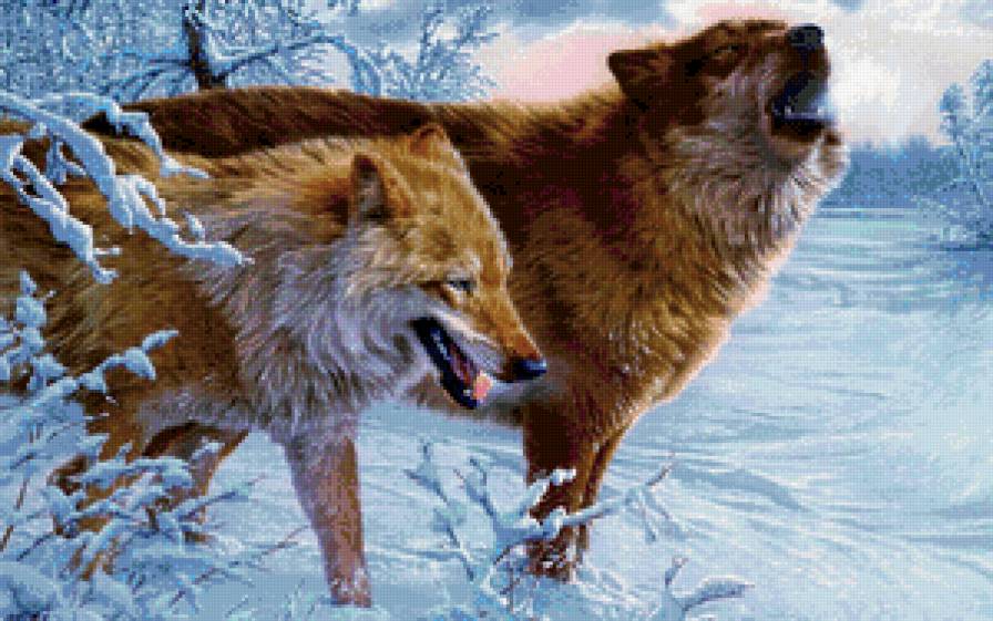 волки пара -1 - красота, хищник, природа, картина, волк, мираж - предпросмотр