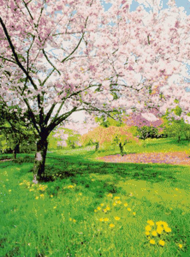 весна - природа, весна, деревья - предпросмотр