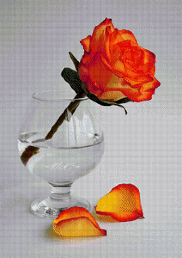 Роза в бокале - цветы, роза - предпросмотр