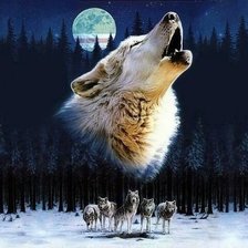 Схема вышивки «волки и луна»