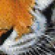 Предпросмотр схемы вышивки «тигр» (№1107382)