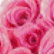 Предпросмотр схемы вышивки «розы» (№1107400)
