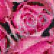 Предпросмотр схемы вышивки «букет роз-триптих» (№1107846)