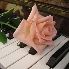 Схема вышивки «Роза и пианино»