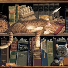 Коты и библиотека-2 (с)