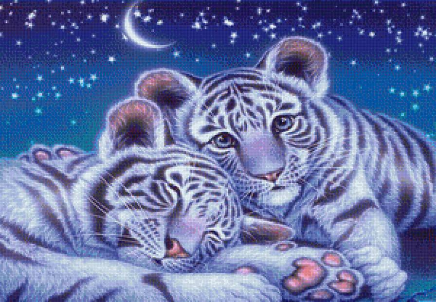 Тигрята - животные, тигренок, тигр, дикие кошки - предпросмотр