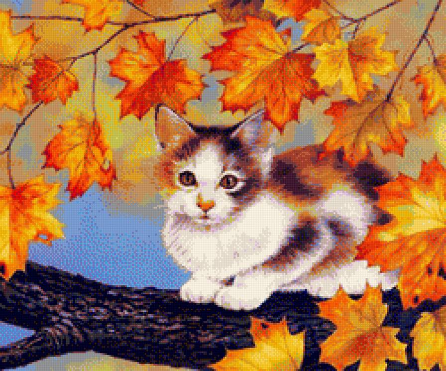 кошечка - животное, дерево, осень, листья - предпросмотр