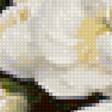 Предпросмотр схемы вышивки «Белые пионы в вазе» (№1118318)