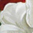 Предпросмотр схемы вышивки «тюльпаны» (№1119276)
