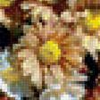 Предпросмотр схемы вышивки «корзина хризантем» (№1119357)