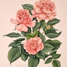 Оригинал схемы вышивки «цветы» (№1119662)