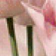 Предпросмотр схемы вышивки «Розовые тюльпаны (новые)» (№1119676)
