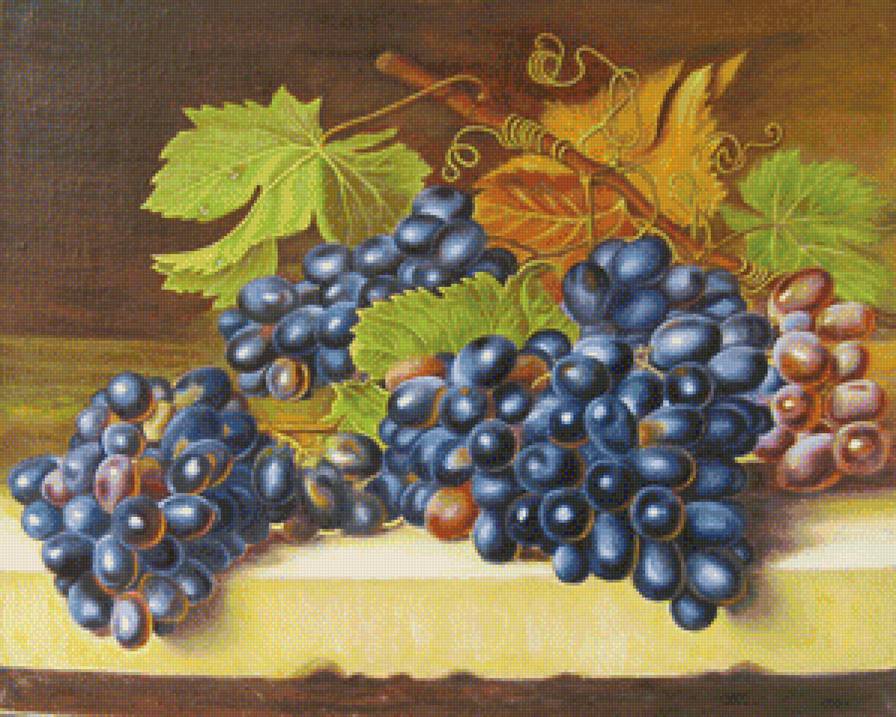 Виноград - виноград, живопись - предпросмотр
