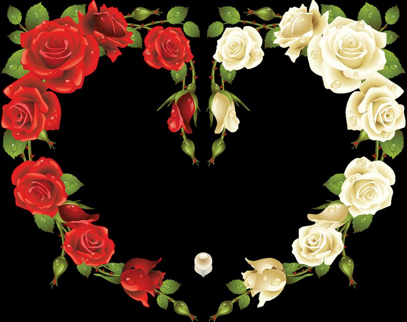 Сердце из роз - красное, розы, белое, сердце - оригинал