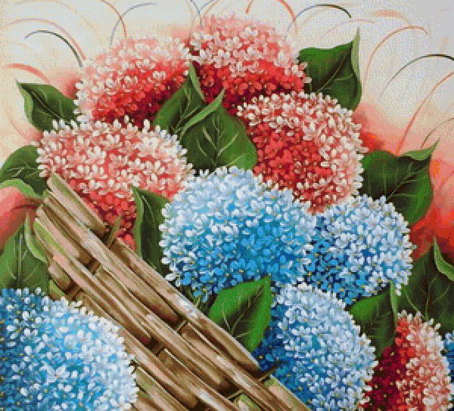 Гортензия - цветок, цветы, букет - предпросмотр