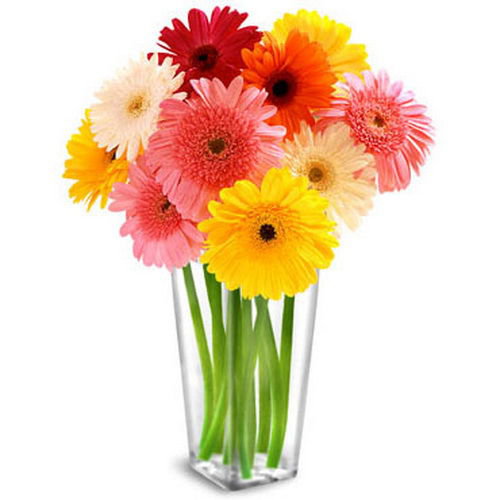 герберы1 - разноцветные, в вазе, ваза, герберы, цветы - оригинал