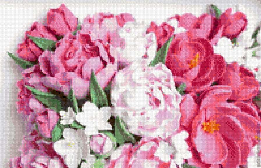 пионы2 - нежные, нежность, розовые, цветы, пионы - предпросмотр