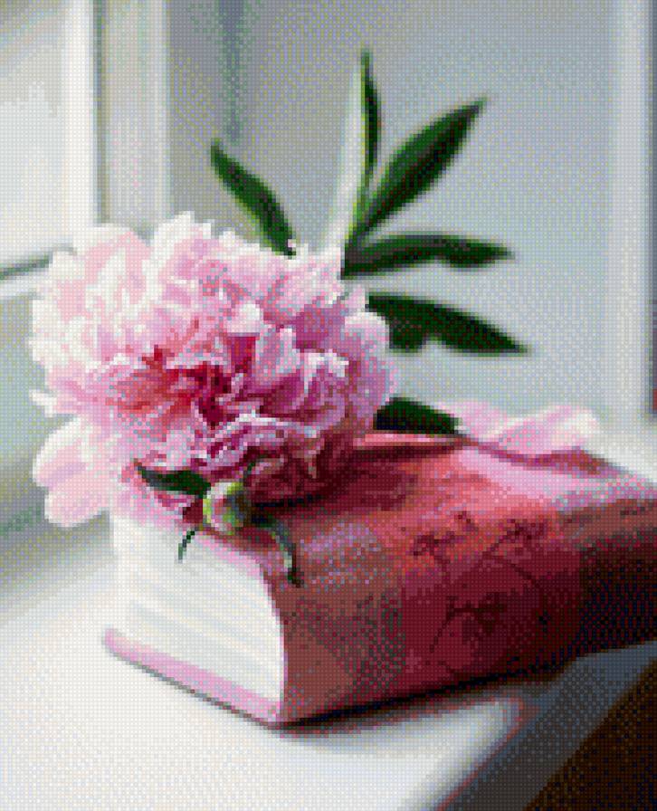 цветок и книга - нежность, розовые, нежные, на окне, книга, пионы, окно - предпросмотр
