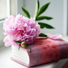 Оригинал схемы вышивки «цветок и книга» (№1123197)