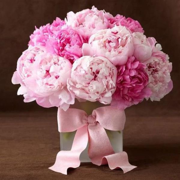 пионы с бантиком - розовые, пионы, цветы - оригинал
