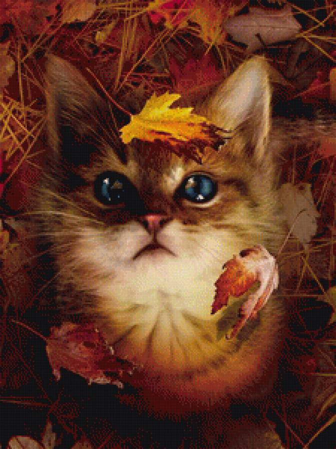 Котенок в листьях - осень, листья, котенок - предпросмотр