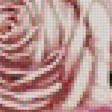 Предпросмотр схемы вышивки «букет роз» (№1125352)