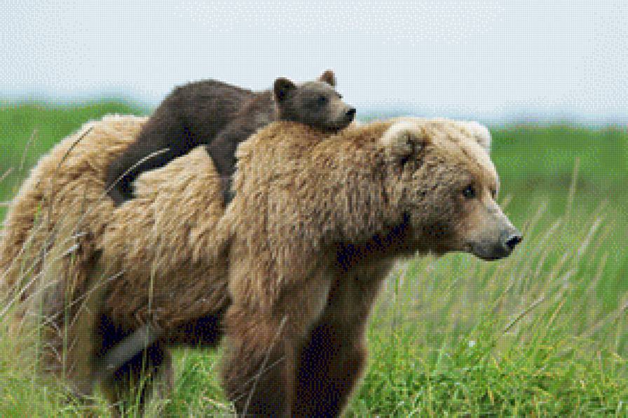 Мамы - они такие! - медведи, мама, животные, медвежонок, медведица - предпросмотр