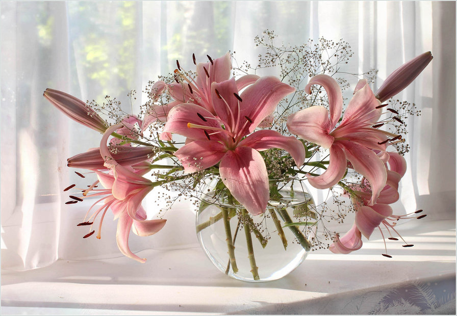лилии - ваза, лилии, цветы, окно, букет - оригинал