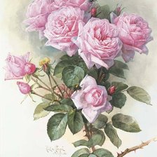 Оригинал схемы вышивки «Розовые розы» (№1128156)