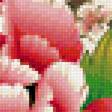 Предпросмотр схемы вышивки «Цветок персика» (№1129263)