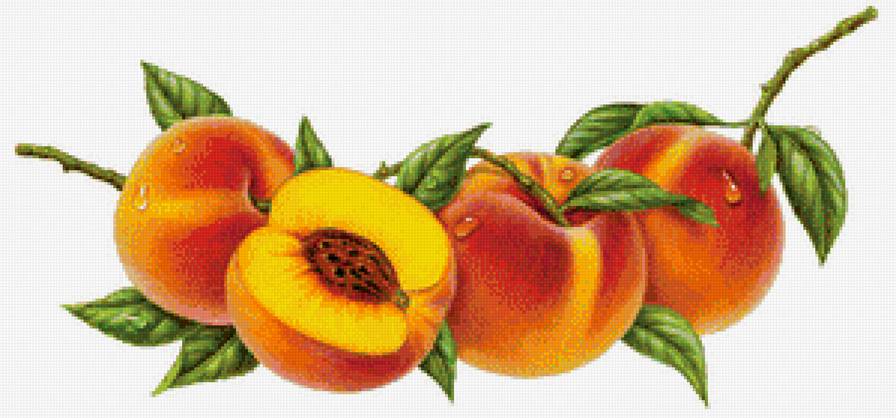 Серия "На кухню" - натюрморт, на кухню, персики, фрукты - предпросмотр