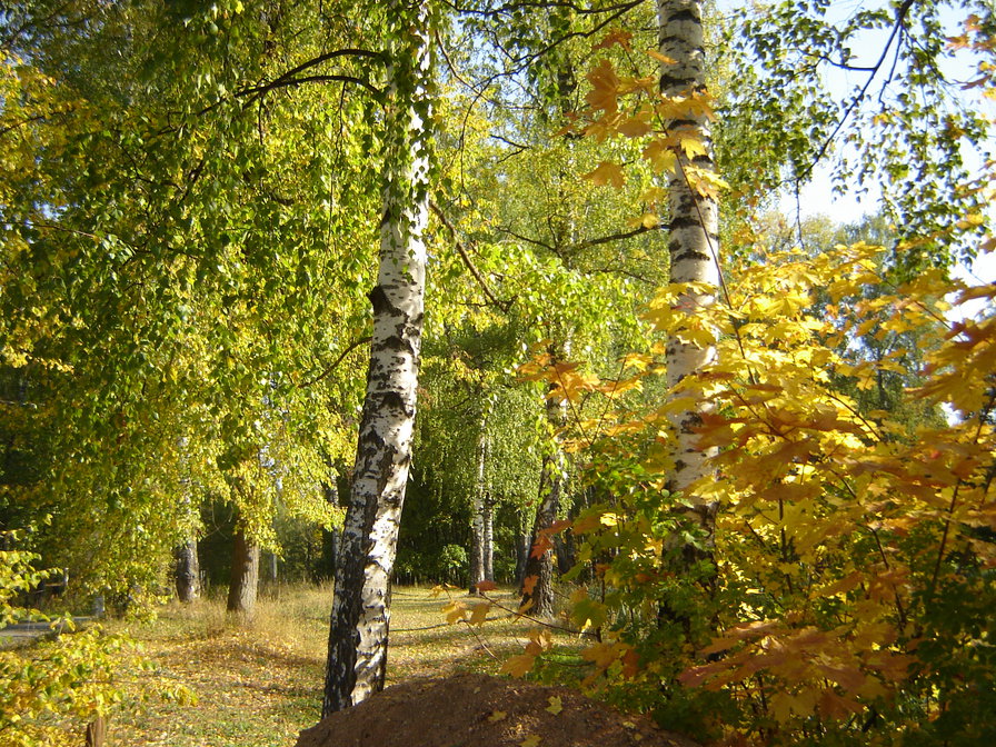 Осенний пейзаж - осень, природа, пейзаж - оригинал
