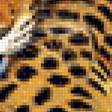 Предпросмотр схемы вышивки «Тигрята» (№1130629)