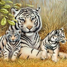 Оригинал схемы вышивки «белый тигр с тигрятами» (№1130673)