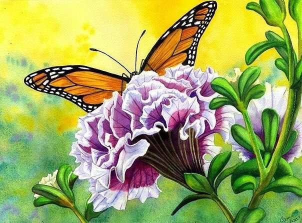 цветы и бабочка - оригинал