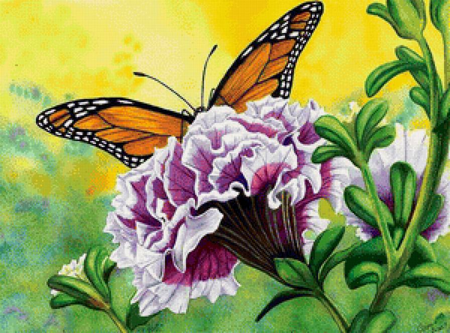 цветы и бабочка - предпросмотр
