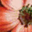Предпросмотр схемы вышивки «букет цветов» (№1132075)