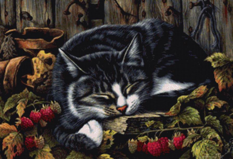 Кот и малина - гармашова, домашние любимцы, сон, животные, картина, кот, , малина - предпросмотр
