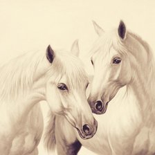 Оригинал схемы вышивки «белые лошади» (№1134780)