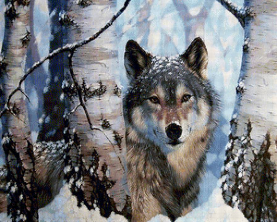 Волк - лес, зима, волк, животные - предпросмотр